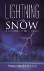 Image for Lightning in the Snow: A Collection of Short Stories