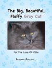 Image for The Big, Beautiful, Fluffy Gray Cat : For the Love of Ollie