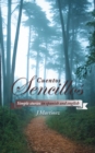Image for Cuentos Sencillos: Simple Stories in Spanish and English