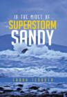 Image for In The Midst Of Superstorm Sandy