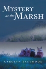 Image for Mystery at the Marsh