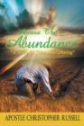 Image for Access The Abundance : A Study of Tithes and Offering