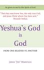 Image for Yeshua&#39;s God Is God