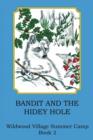 Image for Bandit and the Hidey Hole