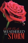 Image for Weathered the Storm