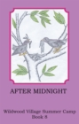 Image for After Midnight