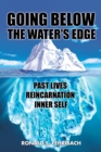 Image for Going Below the Water&#39;s Edge: Past Lives Reincarnation Inner Self