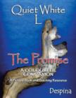 Image for Quiet White L  : the promise: A colourful companion