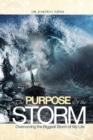 Image for THE PURPOSE of the STORM: OVERCOMING the BIGGEST STORM of MY LIFE