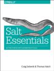 Image for Salt Essentials