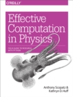 Image for Effective computation in physics