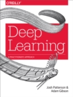 Image for Deep learning: a practitioner's approach