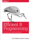 Image for Efficient R programming: a practical guide to smarter programming