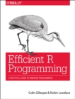 Image for Efficient R Programming