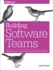 Image for Building software teams: ten best practices for effective software development