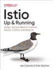 Image for Istio: Up and Running: Using a Service Mesh to Connect, Secure, Control, and Observe