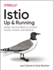 Image for Istio: Up and Running