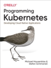 Image for Programming Kubernetes: developing cloud-native applications