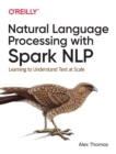 Image for Natural Language Processing with Spark NLP