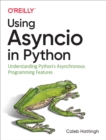 Image for Using Asyncio in Python: Understanding Python&#39;s Asynchronous Programming Features