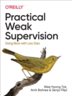 Image for Practical Weak Supervision