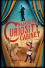 Image for Magruder&#39;s Curiosity Cabinet  : a novel