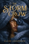 Image for The storm crow