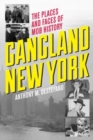 Image for Gangland New York : The Places and Faces of Mob History