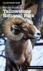 Image for Nature guide to Yellowstone National Park
