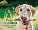 Image for Dogs unleashed: adventures with our best friends
