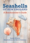 Image for Seashells of New England