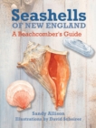 Image for Seashells of New England: a beachcomber&#39;s guide