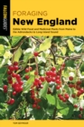 Image for Foraging New England  : edible wild food and medicinal plants from Maine to the Adirondacks to Long Island Sound