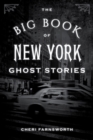 Image for The big book of New York ghost stories