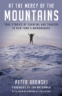 Image for At the mercy of the mountains  : true stories of survival and tragedy in New York&#39;s Adirondacks