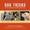 Image for Dog tricks even you can teach your pet  : a step-by-step guide to teaching your pet to sit, catch, fetch, and impress