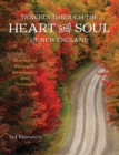 Image for Travels through the Heart and Soul of New England : Stories of Struggle, Resilience, and Triumph