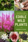 Image for The official U.S. Army illustrated guide to edible wild plants