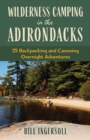 Image for Wilderness camping in the Adirondacks  : 25 hiking and canoeing overnight adventures