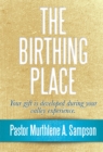 Image for Birthing Place: Your Gift Is Developed During Your Valley Experience