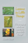 Image for Lessons in Little Things