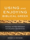 Image for Using and Enjoying Biblical Greek: Reading the New Testament with Fluency and Devotion