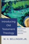 Image for Introducing Old Testament Theology: Creation, Covenant, and Prophecy in the Divine-Human Relationship