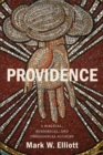 Image for Providence: a biblical, historical, and theological account