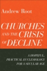 Image for Churches and the Crisis of Decline (Ministry in a Secular Age Book #4): A Hopeful, Practical Ecclesiology for a Secular Age