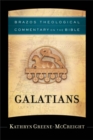 Image for Galatians (Brazos Theological Commentary on the Bible)