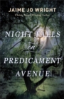 Image for Night Falls on Predicament Avenue