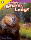 Image for Building a Beaver Lodge