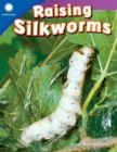 Image for Raising Silkworms