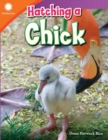 Image for Hatching a Chick